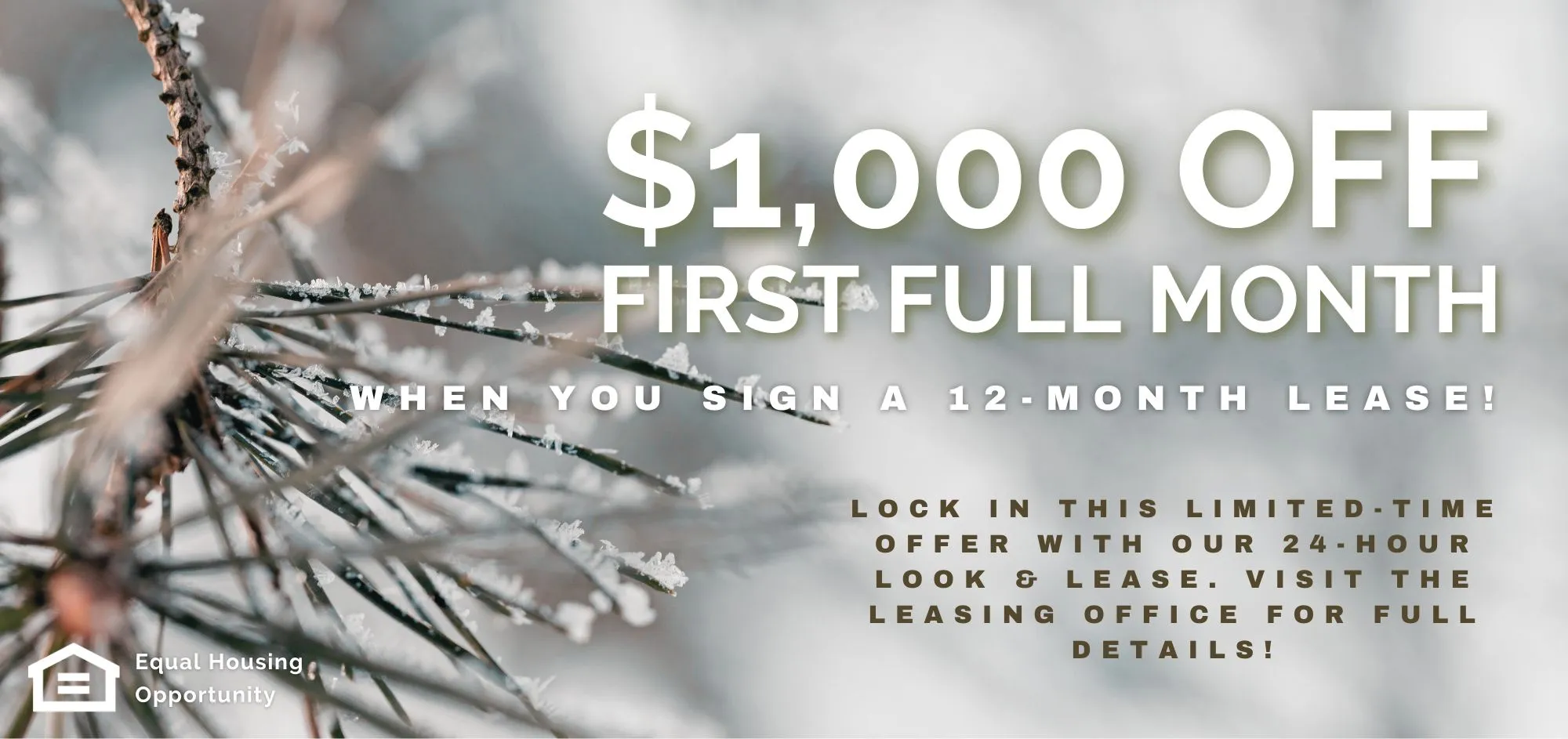 Luxury Apartment Interior